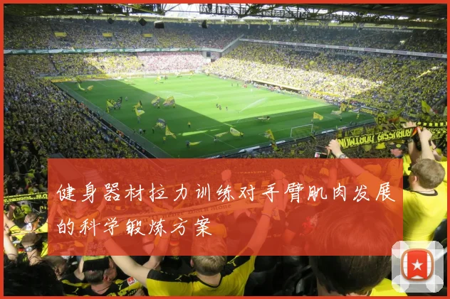 健身器材拉力训练对手臂肌肉发展的科学锻炼方案