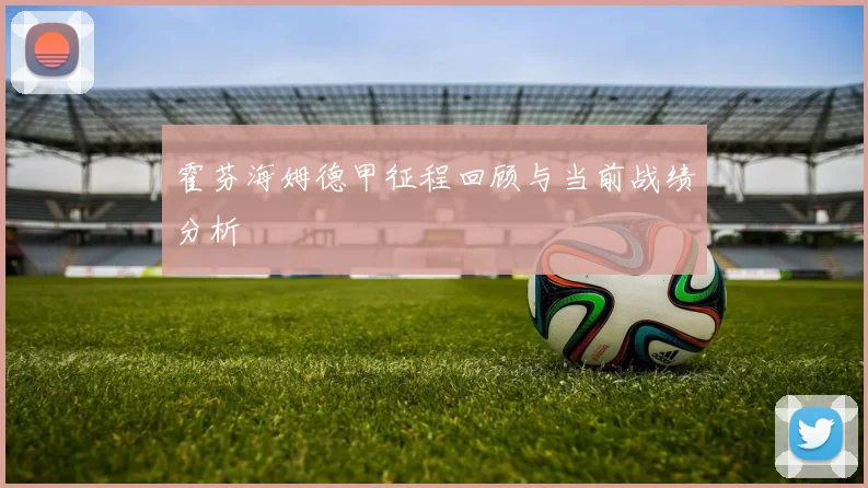 霍芬海姆德甲征程回顾与当前战绩分析