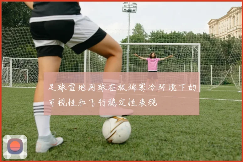 足球雪地用球在极端寒冷环境下的可视性和飞行稳定性表现